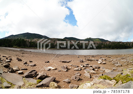 北八ヶ岳の雨池 北八ヶ岳の雨池 78597178