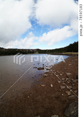北八ヶ岳の雨池 北八ヶ岳の雨池 78597183
