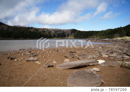 北八ヶ岳の雨池 北八ヶ岳の雨池 78597200