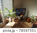 ひとり暮らしのインテリア 78597351