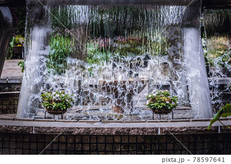 滋賀県草津市の水生植物公園みずの森の噴水と花	 78597641