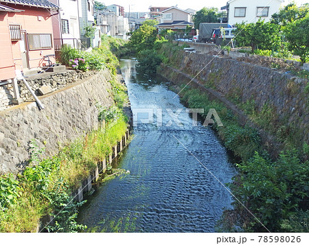 住宅街を流れる白子川 住宅街を流れる白子川 78598026