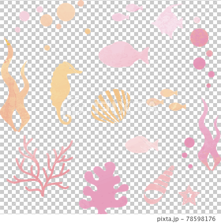 夏　海　魚　貝　海藻　シルエット　水彩　イラスト素材セット 78598176