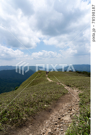石榑峠から竜ヶ岳へと続く山頂部稜線の一面の笹原と登山道 78598187