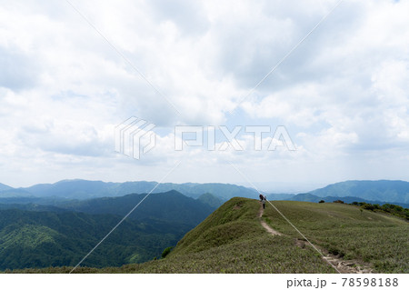 石榑峠から竜ヶ岳へと続く山頂部稜線の一面の笹原と登山道 石榑峠から竜ヶ岳へと続く山頂部稜線の一面の笹原と登山道 78598188