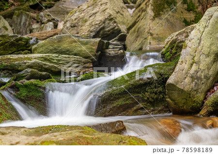 Silky effect of cascades of running water in a brook closeup. Silky effect of cascades of running water in a brook closeup. 78598189