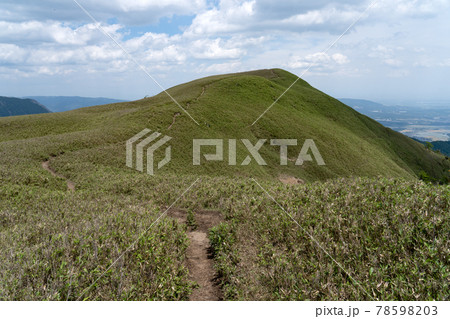 石榑峠から竜ヶ岳へと続く山頂部稜線の一面の笹原と登山道 石榑峠から竜ヶ岳へと続く山頂部稜線の一面の笹原と登山道 78598203