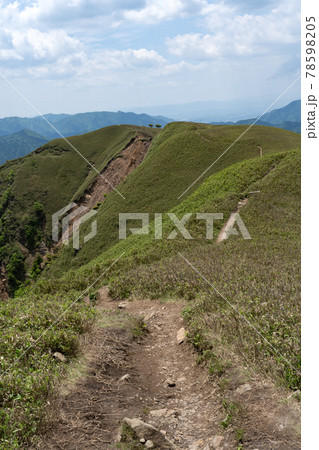 石榑峠から竜ヶ岳へと続く山頂部稜線の一面の笹原と登山道 石榑峠から竜ヶ岳へと続く山頂部稜線の一面の笹原と登山道 78598205