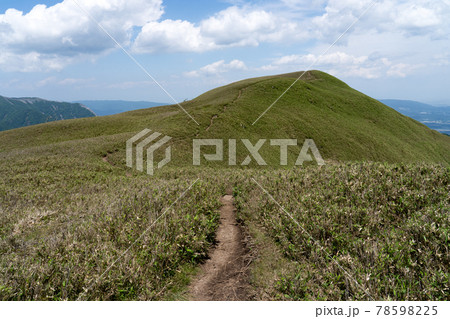 石榑峠から竜ヶ岳へと続く山頂部稜線の一面の笹原と登山道 石榑峠から竜ヶ岳へと続く山頂部稜線の一面の笹原と登山道 78598225