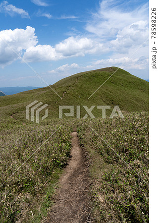 石榑峠から竜ヶ岳へと続く山頂部稜線の一面の笹原と登山道 石榑峠から竜ヶ岳へと続く山頂部稜線の一面の笹原と登山道 78598226