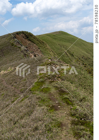 石榑峠から竜ヶ岳へと続く山頂部稜線の一面の笹原と登山道 石榑峠から竜ヶ岳へと続く山頂部稜線の一面の笹原と登山道 78598230