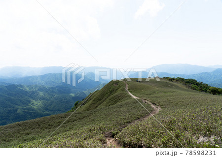 石榑峠から竜ヶ岳へと続く山頂部稜線の一面の笹原と登山道 78598231