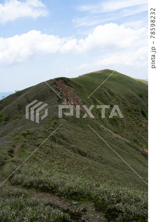 石榑峠から竜ヶ岳へと続く山頂部稜線の一面の笹原と登山道 78598232