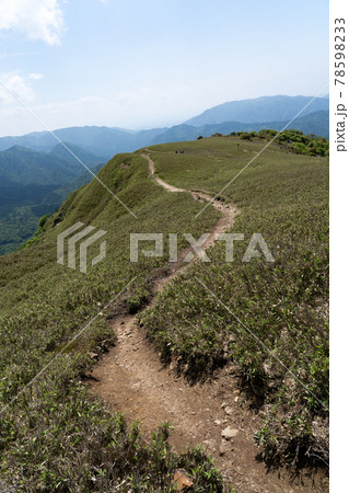 石榑峠から竜ヶ岳へと続く山頂部稜線の一面の笹原と登山道 石榑峠から竜ヶ岳へと続く山頂部稜線の一面の笹原と登山道 78598233