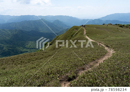 石榑峠から竜ヶ岳へと続く山頂部稜線の一面の笹原と登山道 石榑峠から竜ヶ岳へと続く山頂部稜線の一面の笹原と登山道 78598234