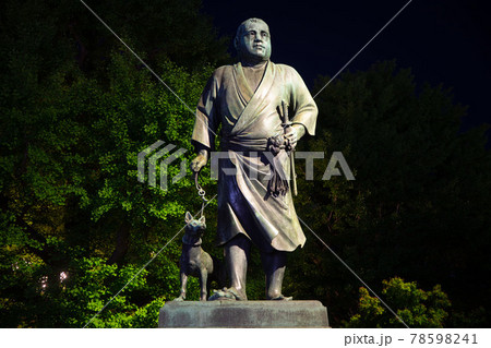 上野恩賜公園　夜の西郷隆盛像 78598241