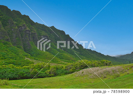 ハワイ　オアフ島　クアロア牧場　映画のロケ地 78598900