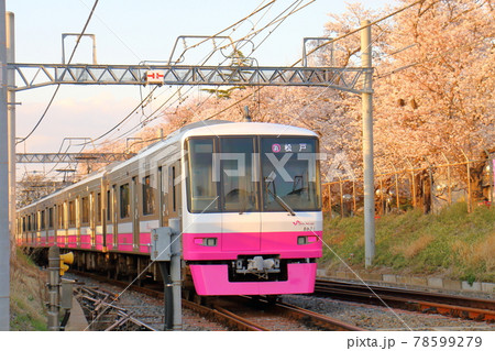 千葉県鎌ケ谷市くぬぎ山付近を通る新京成線の8900形新塗装車とさくら満開 千葉県鎌ケ谷市くぬぎ山付近を通る新京成線の8900形新塗装車とさくら満開 78599279