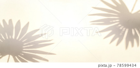Leaf shadow summer background. Plant leaf shadows on white wall in abstract tropical sunlight texture, for overlay on product presentation, backdrop and mockup, sun light seasonal concept. 78599434
