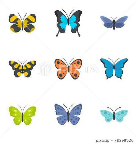 Moth icons set, flat style 78599626