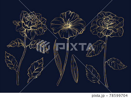 金の花の線画イラスト素材セットのイラスト素材
