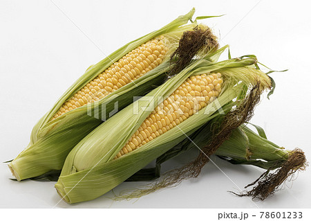 白バックでひげ付きのとうもろこし 78601233