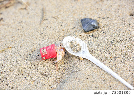 環境問題　赤いキャップのやどかり 78601806