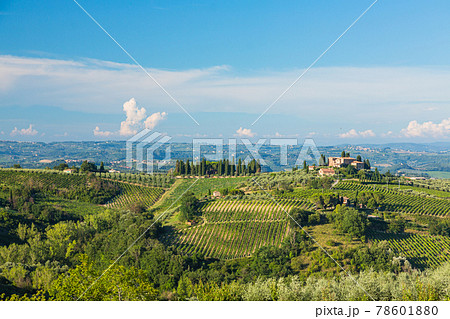 イタリア サン・ジミニャーノ郊外の丘陵風景 イタリア サン・ジミニャーノ郊外の丘陵風景 78601880