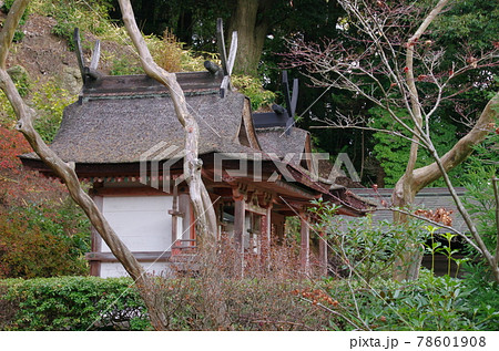 円成寺 鎮守社 春日堂・白山堂(奈良市) 円成寺 鎮守社 春日堂・白山堂(奈良市) 78601908