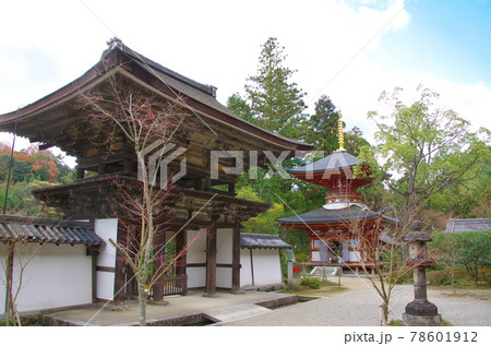 円成寺 楼門と多宝塔（奈良市） 78601912
