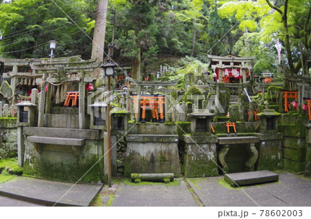 神秘的な鳥居たち 78602003