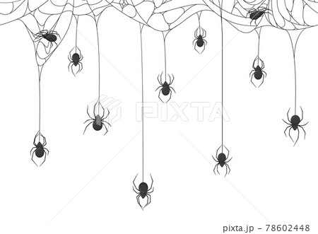 Halloween spiders background. Black spiders on spooky halloween hanging cobweb vector background illustration. Spooky halloween spider web backdrop Halloween spiders background. Black spiders on spooky halloween hanging cobweb vector background illustration. Spooky halloween spider web backdrop 78602448