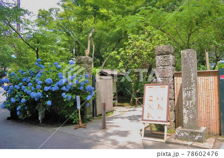 鎌倉 明月院(あじさい寺)の入口 鎌倉 明月院(あじさい寺)の入口 78602476