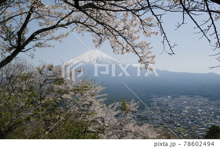 冨士山 富士 ふじ 78602494