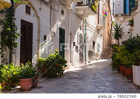 イタリア　ポリニャーノ・ア・マーレの旧市街の路地風景	 78602560