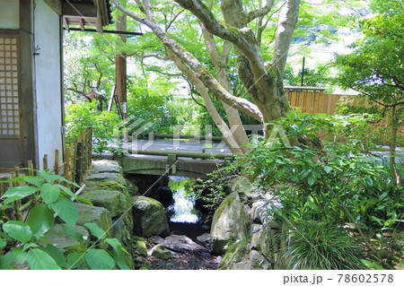 鎌倉 明月院(あじさい寺) 鎌倉 明月院(あじさい寺) 78602578