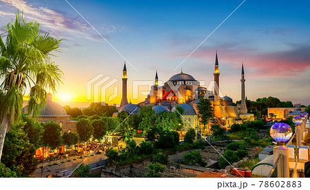 Hagia Sophia and palm tree 78602883