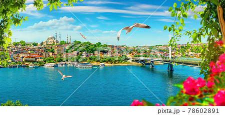 Flowers in Istanbul 78602891