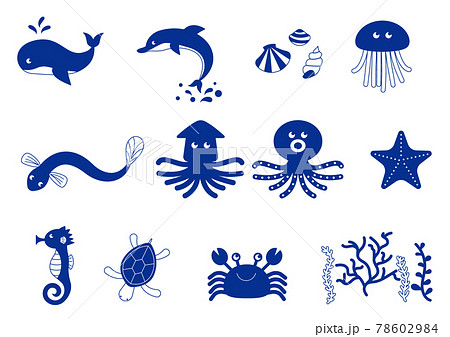 海の生き物のベクターイラストのアイコン 78602984
