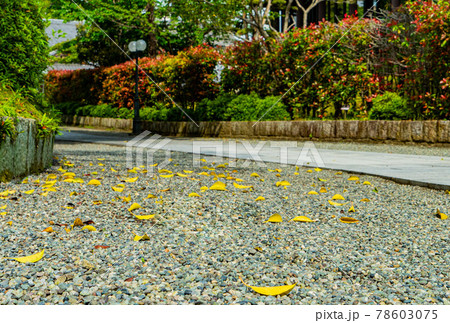 六華苑の庭園 六華苑の庭園 78603075
