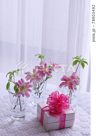 花とプレゼント 78603492