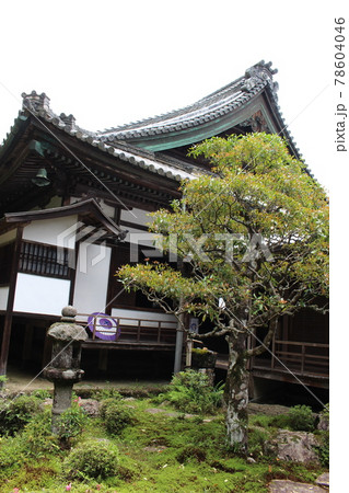 柳谷観音 楊谷寺 京都府 長岡京市 あじさいウィーク 長岡天神駅 長岡京駅 柳谷観音 楊谷寺 京都府 長岡京市 あじさいウィーク 長岡天神駅 長岡京駅 78604046