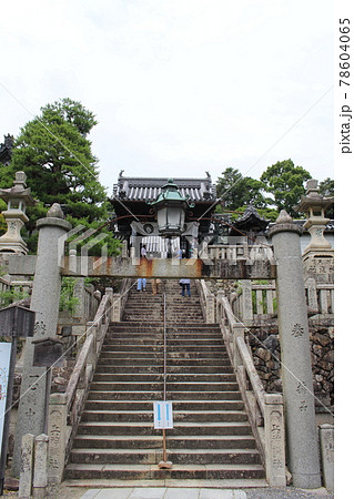 柳谷観音 楊谷寺 京都府 長岡京市 あじさいウィーク 長岡天神駅 長岡京駅 柳谷観音 楊谷寺 京都府 長岡京市 あじさいウィーク 長岡天神駅 長岡京駅 78604065