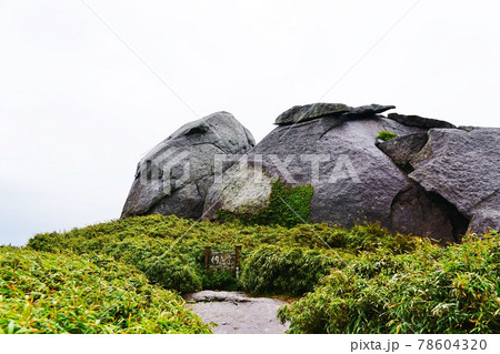 屋久島 栗生岳 山頂 屋久島 栗生岳 山頂 78604320