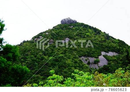 屋久島　登山道から見る高盤岳の豆腐岩 78605623