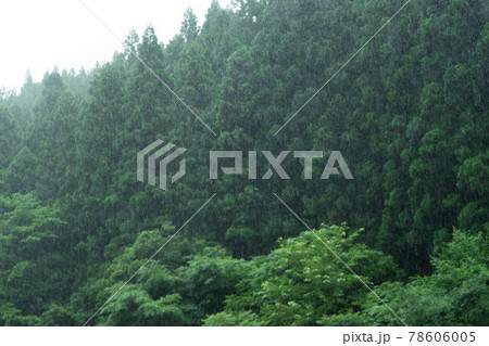 山間部で降り出した雨 78606005