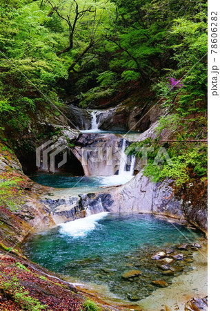 山梨　西沢渓谷　七ツ釜五段の滝 78606282