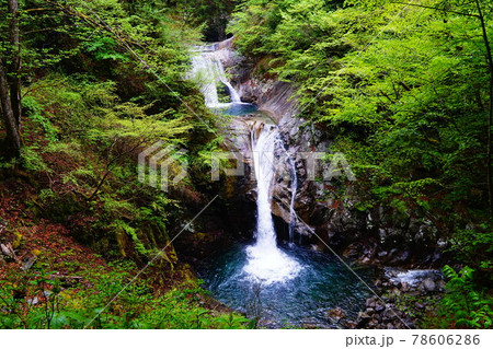 山梨 西沢渓谷 七ツ釜五段の滝 山梨 西沢渓谷 七ツ釜五段の滝 78606286