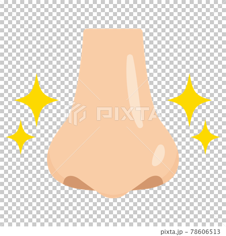 毛穴がきれいな鼻のイラスト　フラットデザイン 78606513