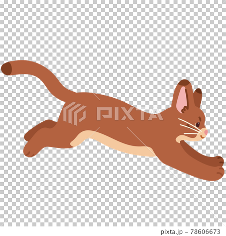 走るシンプルで可愛いアビシニアンのイラスト 主線なしのイラスト素材 走るシンプルで可愛いアビシニアンのイラスト 主線なしのイラスト素材